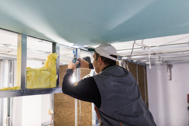 Best Attic Insulation Installation  in Long Beach, MD